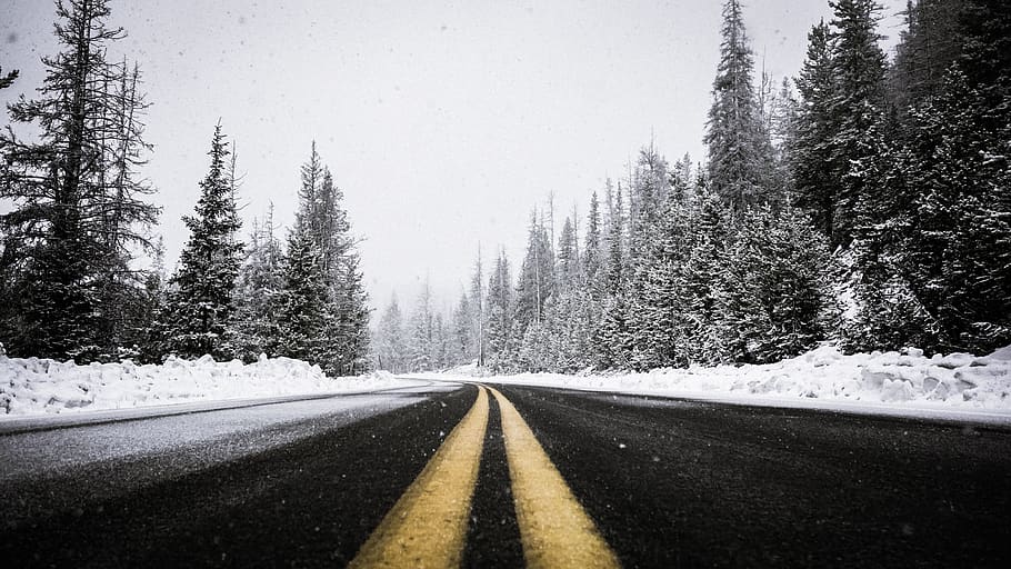 vej, sti, træer, planter, natur, rejse, himmel, sne, vinter, transportmidler, kold temperatur, træ, vejmærkning, symbol, plante, vejen frem, mærkning, ingen mennesker, skilt, scenics - natur, retning, Skov, rolig scene, faldende perspektiv, dobbelt gul linje, sner, fyrretræ, nåletræ, skillelinje, fyrreskov, 5K