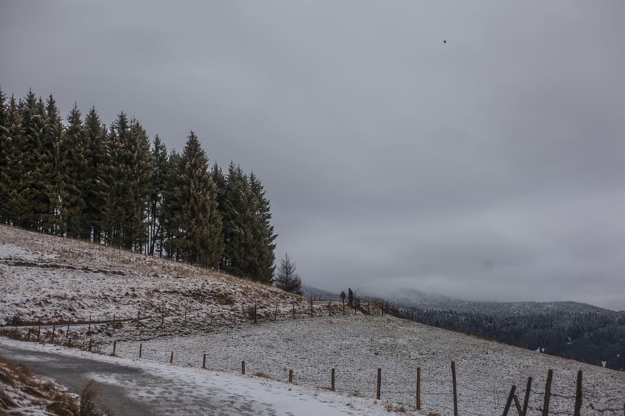 fotografie, pole, zelená, stromy, mraky, zatažená obloha, Studený, den, denní světlo, mráz, zamrzlý, tráva, led, krajina, hory, Příroda, silnice, scénický, sezóna, nebe, sníh, zimní, drátěný plot, les, studená teplota, strom, krása v přírodě, rostlina, klid, scenics - příroda, klidné scény, přistát, životní prostředí, nikdo, mimoměstské scény, krytina, mrak - nebe, venku, 5K
