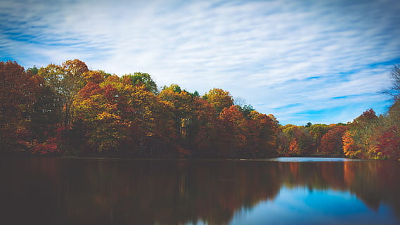 grünblättrige Bäume, See, Wasser, Himmel, Natur, draußen, Herbst, still, fallen, Landschaft, Wald, Baum, Wolken, herbstlich, Bäume, Park, Wasser Reflexion, Reflexion, Seeseite, Vereinigte Staaten, Pflanze, Veränderung, Schönheit in der Natur, Ruhe, Szenen - Natur, ruhige Szene, keine Leute, Ufergegend, orange Farbe, Tag, Wachstum, idyllisch, Herbstkollektion, 2K, CC0, gemeinfrei, lizenzfrei