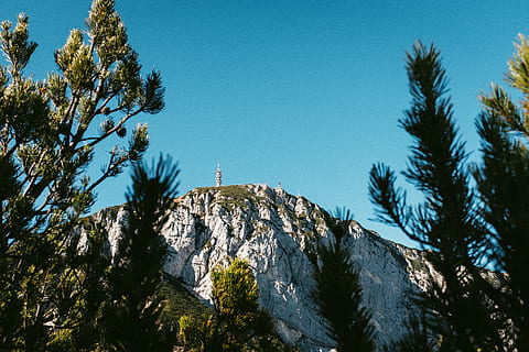 grå, bjerg, omgivet, træer, træ, plante, abies, gran, nåletræ, fyrretræ, Bondone, Trento, Italien, lærk, natur, fugl, dyr, efterår, blad, Skov, blå, azurblå, himmel, skønhed i naturen, skyfri himmel, lav vinkel visning, klippe, scenics - natur, ingen mennesker, ro, dag, vækst, rock-objekt, rolig scene, solid, jord, udendørs, formation, 5K, CC0, offentligt domæne, royaltyfrie