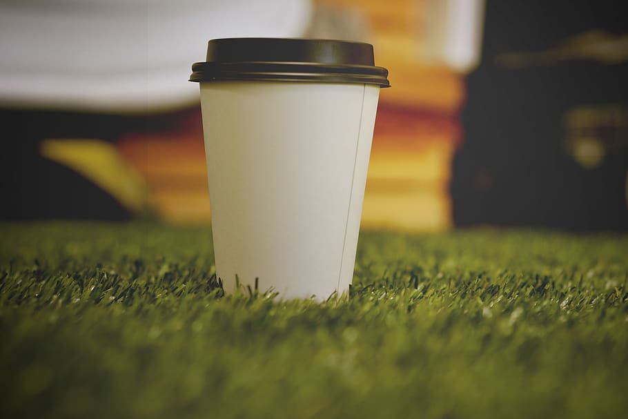 amore, caffè, erba, bere, monouso, pianta, messa a fuoco selettiva, cibo e bevande, tazza usa e getta, rinfresco, colore verde, tazza, cibo, avvicinamento, nessuno, prato, natura, contenitore, latte, all'aperto, prodotto caseario, pasto, bicchiere, vuoto, livello di superficie, 4K