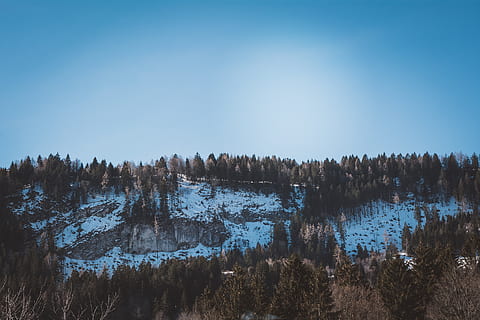 panorama, neve, inverno, Primavera, arvores, natureza, céu, árvore, plantar, tranquilidade, scenics - natureza, beleza na natureza, cena tranquila, cena não urbana, céu limpo, agua, temperatura fria, ninguém, azul, dia, terra, meio Ambiente, árvore conífera, 2K, CC0, domínio público, royalty free