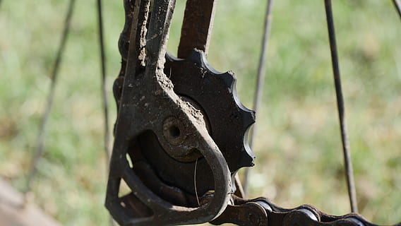 Ausrüstung, Kette, Technologie, Maschine, Rost, Industrie, Kraftübertragung, Drehmoment, Baum, Fokus auf den Vordergrund, Pflanze, Kofferraum, Baumstamm, Tag, keine Leute, Natur, Nahansicht, Metall, draußen, Wald, Tier, Tierthemen, Land, ein Tier, Tierwelt, Ast, Sonnenlicht, selektiver Fokus, 5K, CC0, gemeinfrei, lizenzfrei