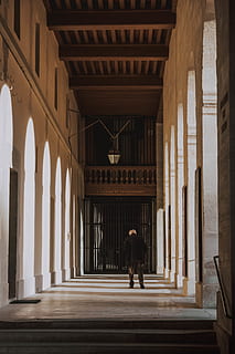 muž, stojící, uvnitř, budova, světlo, cizinec, sloupec, tapeta na zeď, město, Francie, Paříž, architektura, modrý, stavba, architektonický sloup, plná délka, skutečných lidí, minulost, jedna osoba, zpětný pohled, Dějiny, pasáž, oblouk, chůze, koridor, den, dospělý, muži, kolonáda, 4K, CC0, veřejná doména, bez autorských práv