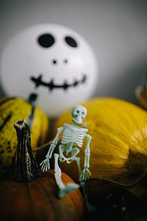 pumpkins & halloween, vegetables, autumn, fall, pumpkins, funny, halloween, ghosts, boo, human skeleton, skeleton, indoors, celebration, representation, bone, human representation, no people, art and craft, creativity, pumpkin, fear, close-up, food and drink, table, spooky, craft, food, jack o' lantern, 5K