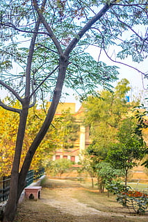 parque, folhas, arvores, árvore, plantar, natureza, dia, crescimento, o caminho a seguir, ninguém, trilha, direção, tranquilidade, ao ar livre, céu, outono, beleza na natureza, arquitetura, ramo, Banco, cena tranquila, assento, mudança, 5K, CC0, domínio público, royalty free