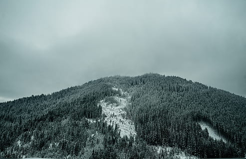 fotografia em tons de cinza, montanha, nublado, céu, nuvens, frio, luz do dia, meio Ambiente, névoa, floresta, Colina, panorama, natureza, cênico, temporada, neve, arvores, clima, inverno, madeiras, beleza na natureza, cena tranquila, tranquilidade, scenics - natureza, plantar, cena não urbana, árvore, ninguém, nuvem - céu, dia, terra, controlo remoto, temperatura fria, ao ar livre, Pico da montanha, 5K, CC0, domínio público, royalty free