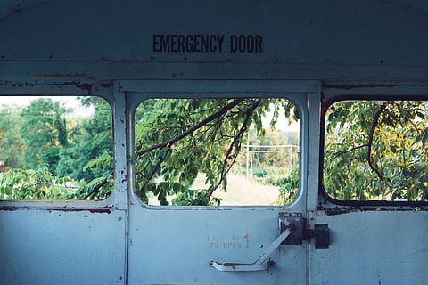 still, items, things, emergency, door, steel, locked, vehicle, warehouse, view, trees, tree, plant, day, abandoned, transportation, mode of transportation, no people, window, green color, nature, outdoors, rusty, metal, obsolete, damaged, forest, growth, land vehicle, land, decline, deterioration, 5K