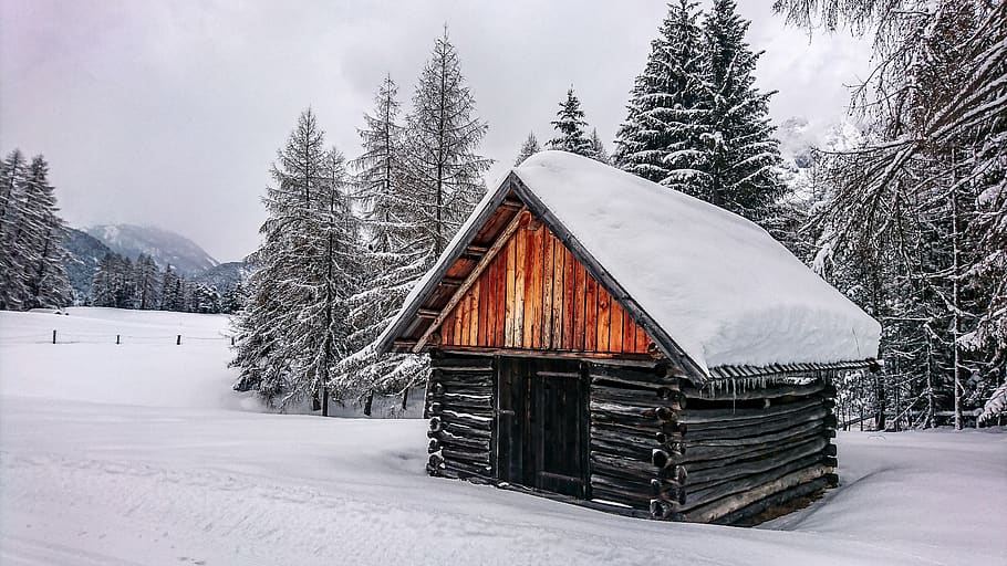 vinter, sne, Skov, kold, østrig, alpine, hytte, vinterlige, idyl, alb, snedækket, natur, træ, eng, is, istap, træer, græs, alm, bjælkehytte, gå i stå, vægt, bjerge, tradition, tyrol, kold temperatur, plante, arkitektur, jord, bygget struktur, skønhed i naturen, scenics - natur, dækker, rolig scene, ro, hvid farve, dag, hus, fyrretræ, ingen mennesker, udendørs, sommerhus, nåletræ, pulver sne, sner, 5K