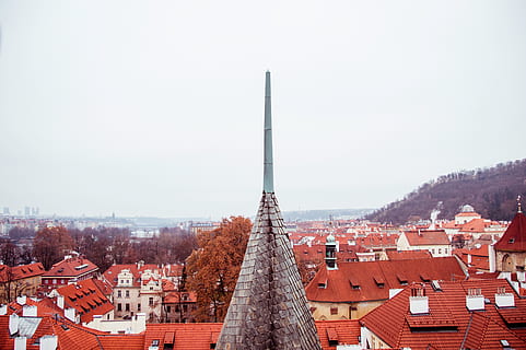 architecture, building, infrastructure, structure, establishment, tower, trees, summer, autumn, fall, building exterior, built structure, roof, city, residential district, tree, day, nature, sky, no people, house, clear sky, town, outdoors, plant, copy space, cityscape, townscape, roof tile, spire, 5K, CC0, public domain, royalty free
