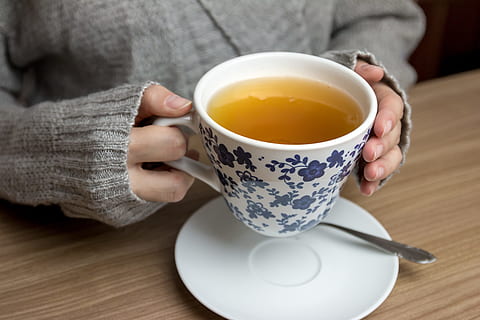 femelle, mains, en portant, chaud, tasse, thé, agresser, boisson, une personne, boisson chaude, Nourriture et boisson, rafraîchissement, thé - boisson chaude, tasse à thé, à l'intérieur, partie du corps humain, soucoupe, Vêtements décontractés, vaisselle, séance, adulte, main humaine, main, en buvant, 5K, CC0, domaine public, libre de droits