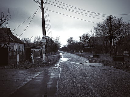 venkov, zataženo, déšť, šedivost, architektura, silnice, stavba, exteriér budovy, nebe, přeprava, budova, kabel, město, cesta vpřed, rezidenční čtvrti, Dům, ulice, směr, elektřina, nikdo, elektrické vedení, strom, elektřina pylon, Příroda, venku, perspektiva, zdroj napájení, telefonní linka, 4K, CC0, veřejná doména, bez autorských práv