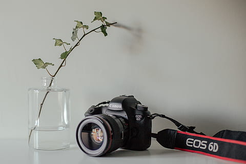 siyah, canon eos 6, 6d, kamera, elektronik, kayış, hayvan, kuş, bitki, çiçek, kavanoz, çömlekçilik, vazo, dijital kamera, kamera merceği, Çiçek aranjmanı, Görüntüle, LCD ekran, izlemek, ekran, video kamera, süs, insansız, teknoloji, doğa, fotoğrafçılık temaları, natürmort, içeriye, kapatmak, kamera - fotoğrafik donanımlar, stüdyo çekimi, tablo, gün, fotoğrafik donanım, Beyaz renk, ekipman, gri, kopya alanı, tekerlek, 4K, CC0, kamu malı, telif ücretsiz