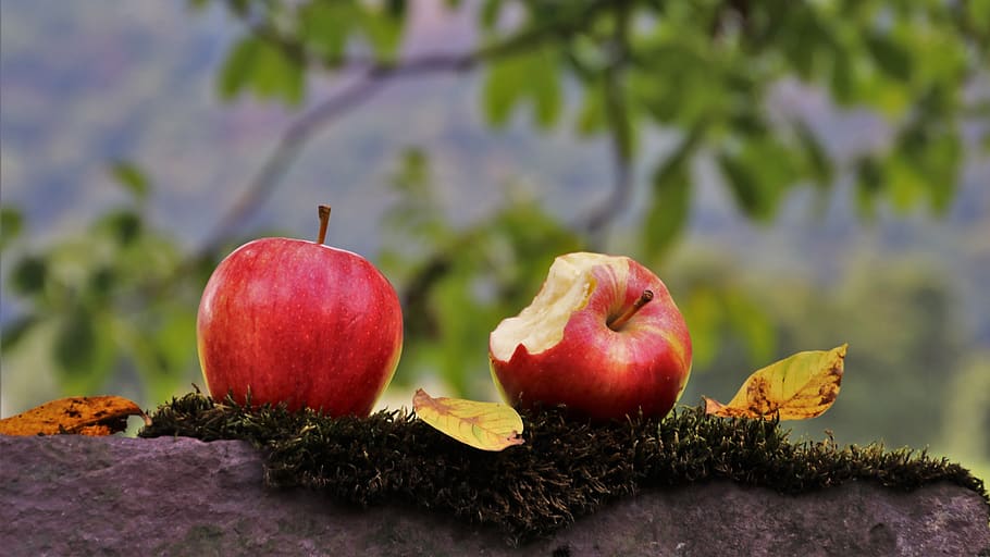 poma, dos, par, vermell, saludable, deliciós, tardor, pomes, fruita, dieta, fresc, vitamines, col·lapse, madura, naturalesa, bio, nutrició, eco, menjar, menjar i beguda, alimentació saludable, frescor, fruita de poma, benestar, centrar-se en primer pla, cap gent, planta, primer pla, arbre, dia, a l'aire lliure, grup d'objectes, Magrana, enfocament selectiu, full, madur, 5K