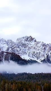bjergtop, bjerg, udendørs, natur, bjergkæde, is, spids, sne, gletscher, træ, gran, plante, abies, landskab, hældning, eventyr, fritids aktiviteter, lavine, plateau, måge, skønhed i naturen, scenics - natur, rolig scene, ro, himmel, miljø, ikke-urbane scene, kold temperatur, vinter, ingen mennesker, dag, idyllisk, sky - himmel, snedækket bjerg, 5K, CC0, offentligt domæne, royaltyfrie
