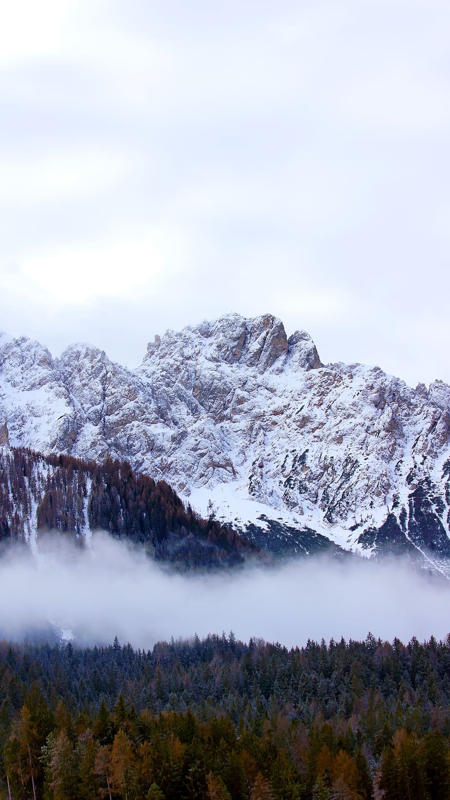 bjergtop, bjerg, udendørs, natur, bjergkæde, is, spids, sne, gletscher, træ, gran, plante, abies, landskab, hældning, eventyr, fritids aktiviteter, lavine, plateau, måge, skønhed i naturen, scenics - natur, rolig scene, ro, himmel, miljø, ikke-urbane scene, kold temperatur, vinter, ingen mennesker, dag, idyllisk, sky - himmel, snedækket bjerg, 5K