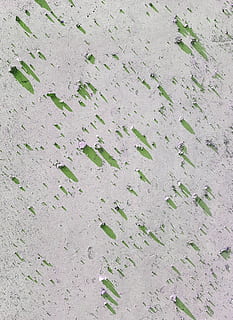 meteoren, achtergronden, volledig kader, geen mensen, patroon, getextureerde, dag, hoge hoekmening, ingebouwde structuur, architectuur, natuur, muur - bouwfunctie, detailopname, buitenshuis, grijs, land-, beton, recht boven, groene kleur, blad, witte kleur, plaats, 4K, CC0, publiek domein, royaltyvrij