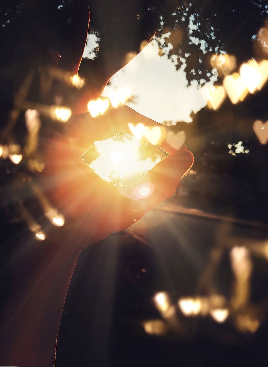 mà sol de persona, borrós, fons borrós, brillant, primer pla, colors, medi ambient, focus, hora daurada, sol daurat, mà, naturalesa, persona, cel, sol, sol brillant, llum solar, sunray, posta de sol, arbres, flare de la lent, una persona, a l'aire lliure, il·luminat, arbre, raig de sol, calor - temperatura, color taronja, mà humana, llum, 4K