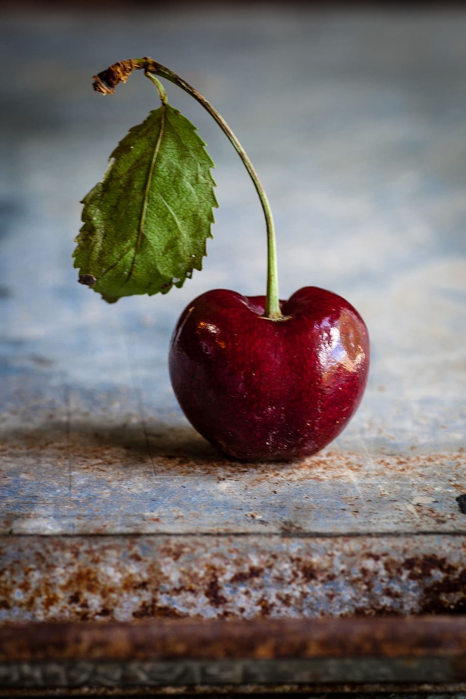 roșu, fructe de padure, gri, suprafaţă, mâncat sănătos, mancare si bautura, alimente, fruct, prospeţime, bunăstare, a închide, cireașă, masa, nici o persoana, să se concentreze asupra primelor elemente, parte a plantelor, mere - fructe, frunze, plante stem, plantă, zi, natură, natură moartă, copt, 4K