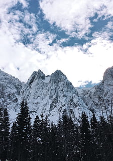 menanam, pohon, alam, gunung, pohon cemara, Abies, pegunungan, di luar rumah, puncak, rifugio luigi zacchi, salju, konifer, Es, musim dingin, pinus, gletser, merapikan, pemandangan, langit, keindahan di alam, awan - langit, scenics - alam, suhu dingin, adegan yang tenang, ketenangan, adegan non-urban, gunung berselimut salju, tidak ada orang, hari, puncak gunung, pohon pinus, pohon jenis konifera, 4K, CC0, domain publik, bebas royalti