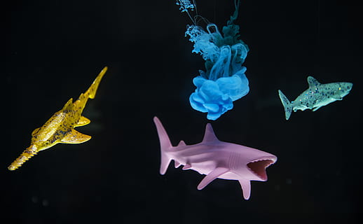 tiga, berbagai macam hiu warna, digital, wallpaper, binatang, latar belakang hitam, biru, merapatkan, warna, penuh warna, gelap, angka, ikan, dalam ruangan, sedikit, kehidupan laut, miniatur, model, plastik, mengerikan, bentuk, hiu, kecil, mainan, di bawah air, laut, air, satwa liar hewan, tema binatang, binatang di alam liar, tidak ada orang, hewan, renang, alam, bertulang belakang, gerakan, keindahan di alam, mengambang di atas air, 4K, CC0, domain publik, bebas royalti