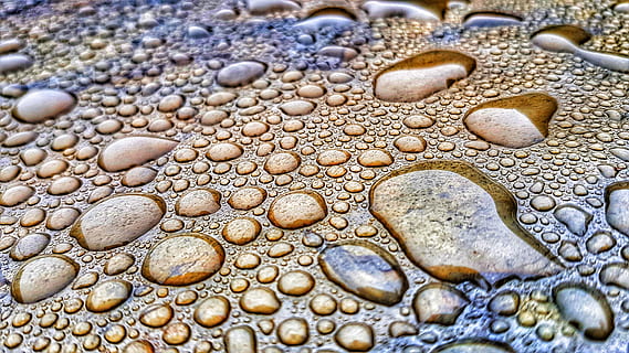 Wassertau, braun, Oberfläche, Kieselstein, Südafrika, Wasser, draußen, Makro, nass, Regen, Nahansicht, Wetter, fallen, Natur, Schotterstraße, Kies, Straße, Rock, Tropfen, Phonographie, Tier, keine Leute, Tierwelt, Tierthemen, Tiere in freier Wildbahn, Vollbild, Land, ein Tier, Tierkörperteil, Muster, Meer, selektiver Fokus, Tierauge, Reinheit, 4K, CC0, gemeinfrei, lizenzfrei