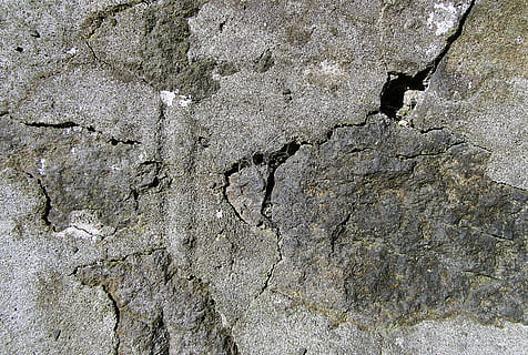 Rock, Boden, Textur, Teer, Pflanze, Baum, Eidechse, Tier, Reptil, Schlamm, Beton, Kalkstein, Natur, draußen, Baumstamm, Loch, Insekt, wirbellos, Cricket-Insekt, Hintergründe, Vollbild, texturiert, keine Leute, Wandbau - Funktion, verwittert, Tag, beschädigt, Rau, geknackt, gebaute Struktur, Muster, Nahansicht, alt, heruntergewirtschaftet, die Architektur, schlechter Zustand, Ablehnen, Verschlechterung, Zement, 4K, CC0, gemeinfrei, lizenzfrei