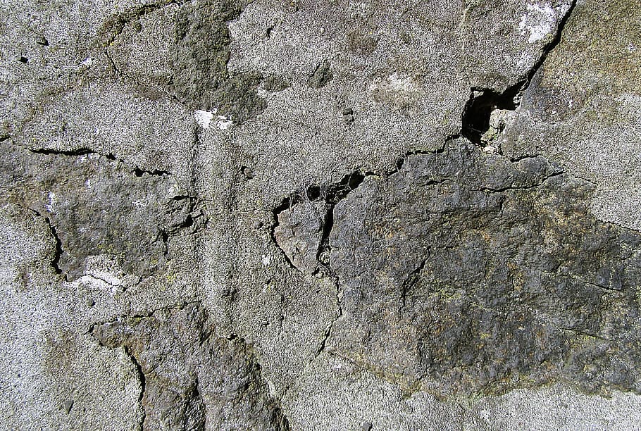 rock, sòl, textura, tar, planta, arbre, llangardaix, animal, rèptil, fang, concret, calcària, naturalesa, a l'aire lliure, tronc de l'arbre, forat, insecte, invertebrat, insecte de cricket, fons, marc complet, cap gent, funció de construcció de parets, resistent, dia, espatllat, aspre, esquerdat, estructura construïda, patró, primer pla, vell, aixafar, arquitectura, mal estat, declivi, deteriorament, ciment, 4K