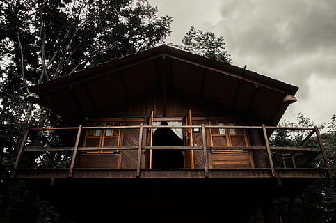 cabana maro, arhitectură, clădire, cabină, perspectivă, lemn, de lemn, vedere unghiulară joasă, construită, copac, plantă, exteriorul clădirii, nici o persoana, cer, zi, natură, abandonat, în aer liber, fereastră, lemn - material, vechi, nor - cer, învechit, erodate, creştere, 4K, CC0, domeniu public, fără drepturi de autor