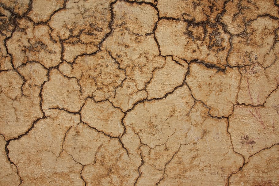Índia, agra, esquerdes, paret, marró, textura, esquerdat, fons, marc complet, clima, clima àrid, patró, sequera, medi ambient, cap gent, sec, patró natural, escenics - natura, primer pla, terra, dia, estèril, qüestions ambientals, fang, a l'aire lliure, fons abstractes, 2K