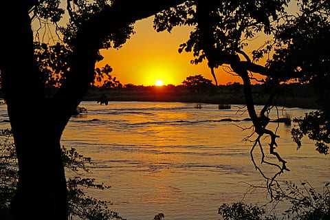 namibia, posta de sol, riu kavango, arbre, cel, silueta, bellesa a la natura, color taronja, escenics - natura, tranquil·litat, planta, escena tranquil·la, aigua, naturalesa, llum solar, sol, idíl·lic, tronc, llac, tronc de l'arbre, cap gent, a l'aire lliure, 5K, CC0, domini públic, lliure de regalies