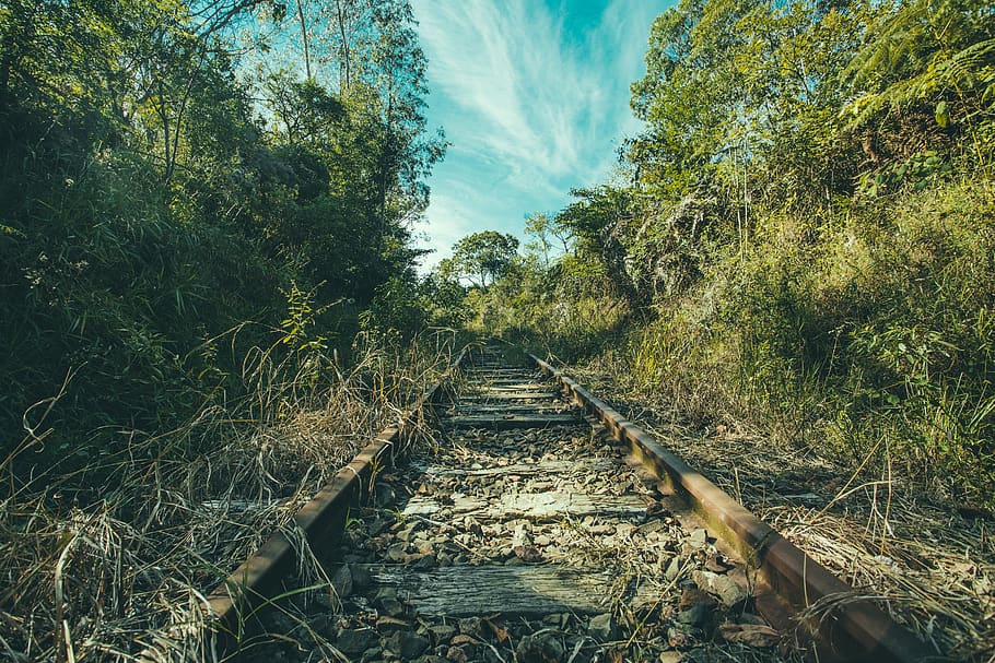 tren ferroviari, envoltat, arbres, la llum del dia, medi ambient, bosc, herba, sòl, orientació, llum, naturalesa, roques, dormitori, estiu, carretera de senderisme, vies del tren, tropical, branques, boscos, planta, el camí a seguir, direcció, arbre, dia, cap gent, creixement, cel, a l'aire lliure, perspectiva decreixent, tranquil·litat, terra, bellesa a la natura, color verd, transport per ferrocarril, núvol - cel, escena tranquil·la, escena no urbana, llum solar, pista, llarg, 5K