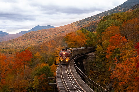 portocale, tren, cad copacii, transport, copac, toamnă, nor - cer, Munte, mijloc de transport, Schimbare, natură, urmări, frumusețe în natură, Sina de cale ferata, transportul feroviar, scenice - natura, plantă, cer, nici o persoana, zi, vedere în unghi mare, scenă non-urbană, pod - om construit, în aer liber, 5K, CC0, domeniu public, fără drepturi de autor