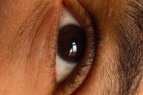 ull humà, lent de contacte, pell, persona, humà, primer pla, closeye, browneye, marró, darkeye, pell fosca, fosc, ulls, ull, Apropa't, cosmètics, mascara, iris, flor, planta, part del cos humà, part del cos, una persona, vista, pestanya, percepció sensorial, primer pla extrem, adult, iris - ull, globus ocular, mirant, pell humana, marc complet, adult jove, ulls marrons, rostre humà, cella, parpella, dona guapa, 5K, CC0, domini públic, lliure de regalies