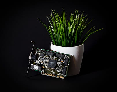 Allemagne, Moers, ballot, gpu, carte graphique, vieux, ancien, contraste, s3, silicium, plante, vert, noir, foncé, Plastique, trio64, prise de vue en studio, La technologie, fond noir, à l'intérieur, Industrie électronique, lien, ordinateur, personne, équipement informatique, coupé, circuit imprimé, puce informatique, industrie, couleur noire, fermer, couleur verte, équipement, partie informatique, objet unique, croissance, équipement électrique, 1080P, CC0, domaine public, libre de droits