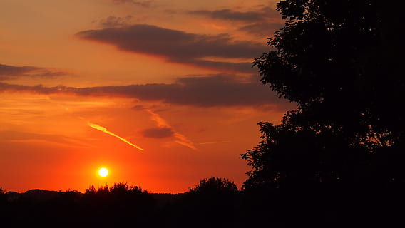 posta de sol, solihull, núvols, cel, paisatge, temps, atmosfera, humor, tarda, silueta, arbre, núvol - cel, planta, bellesa a la natura, escenics - natura, escena tranquil·la, color taronja, tranquil·litat, naturalesa, cap gent, idíl·lic, cel dramàtic, a l'aire lliure, medi ambient, escena no urbana, vista d’angle baix, creixement, cel romàntic, 4K, CC0, domini públic, lliure de regalies