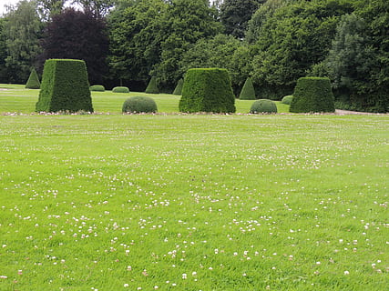 park, strom, tráva, rostlina, zelená barva, růst, Příroda, klid, krása v přírodě, přistát, pole, den, nikdo, klidné scény, topiary, venku, scenics - příroda, formální zahrada, zahrada, krajina, živý plot, 4K, CC0, veřejná doména, bez autorských práv