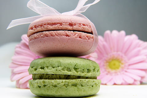 macaron, gerbera, smyčkové pásky, růžový, světle zelená, cukr, diabetes, strava, stevia, cukr-, potravinářské barvy, samozřejmě, bio, vaječné bílky, sladkost, odměna, přestávka, francouzština, specialita, Pozadí, jídlo, jíst, sladký, pozvání, blahopřání, narozeniny, dát, dezert, usnesení, odstranit, kalorií, upéct, užívat si, jídlo a pití, svěžest, nikdo, studio shot, uvnitř, detail, růžová barva, sladké jídlo, skupina objektů, zaměřit se na popředí, stálý život, Zdravé stravování, plátek, ovoce, blahobyt, vodní meloun, rostlina, Svačina, pokušení, 4K, CC0, veřejná doména, bez autorských práv