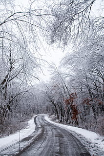 carretera grisa, naturalesa, a l'aire lliure, neu, gel, hivern, mi, Clarkston, nosaltres, paisatge, tempesta, gelades, vent de neu, carretera gelada, corb, temps, terra, asfalt, cargol, arbre, temperatura de fred, carretera, arbre nu, planta, el camí a seguir, direcció, transport, bellesa a la natura, tranquil·litat, cap gent, escenics - natura, dia, escena tranquil·la, branca, cobertura, perspectiva decreixent, nevar, 4K, CC0, domini públic, lliure de regalies