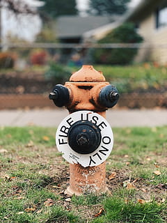 orange Hydrant, Feuerhydrant, Hydrant, Portland, 3002 se sherman st, Vereinigte Staaten, Boden, drinnen, sinken, Badezimmer, Zimmer, Dusche, Pipeline, Rost, sperren, Zapfhahn, Waschbecken Wasserhahn, Sanitär, Scheinwerfer, Licht, Schlamm, Fokus auf den Vordergrund, Gras, Tag, Feld, Pflanze, keine Leute, Natur, Nahansicht, Land, Metall, Text, Kommunikation, Tierdarstellung, westliche Schrift, Darstellung, draußen, Spielzeug, Sicherheit, 4K, CC0, gemeinfrei, lizenzfrei