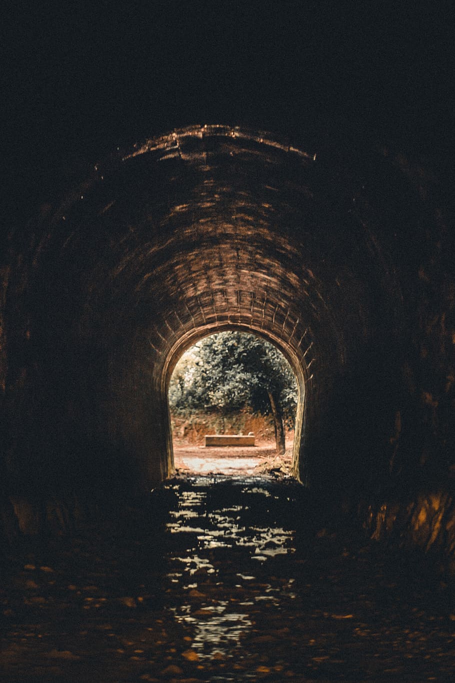 túnel de formigó marró, antic, arc, diseny arquitectònic, arquitectura, art, edifici, concret, foscor, la llum del dia, desolada, llum, passatge, perspectiva, túnel, aigua, cap gent, naturalesa, el camí a seguir, estructura construïda, direcció, a l'aire lliure, dia, paret, història, llum al final del túnel, arbre, llum solar, perspectiva decreixent, cel, arquejat, paret de pedra, bé, 2K