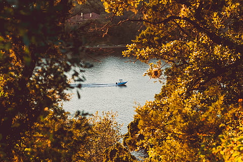bewegliches weißes Schnellboot, Baum, See, Blatt, Aussicht, Wasser, Boot, Natur, Herbst, draußen, Wald, Wasserfahrzeug, Landschaft, szenen, ruhige Szene, Fluss, Reflexion, Schönheit in der Natur, Sommer-, Gelb, Sonnenlicht, Entspannung, Jahreszeit, Blau, Tag, Sonnenuntergang, Freizeitbeschäftigung, Himmel, Reise, orange Farbe, Nicht-städtische Szene, keine Leute, ländliche Szene, 4K, CC0, gemeinfrei, lizenzfrei