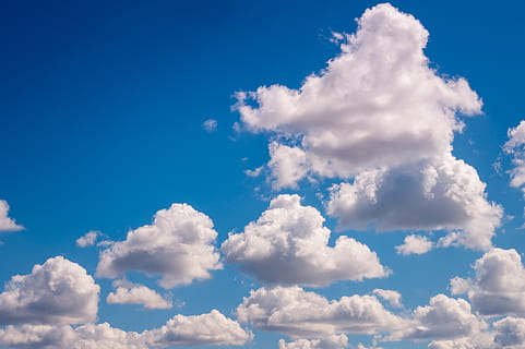 balti debesys, atmosfera, debesys, „cloudscape“, dangus, pobūdį, debesis - dangus, mėlyna, grožis gamtoje, žemas kampo vaizdas, vaizdai - gamta, ramybė, nėra žmonių, fonas, dieną, ramioje scenoje, idiliškas, lauke, balta spalva, visą kadrą, meteorologija, saulės šviesa, purus, minkštumas, 5K, CC0, Viešasis domenas, nemokamai