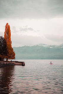 arbre de fulles vermelles, durant el dia, aigua, a l'aire lliure, naturalesa, terra, persona, oberhofen, arbre, línia de costa, oceà, mar, suïssa, llac, humà, davant del mar, paisatge, planta, Costa, muntanya, paddleboard, moll, cel, escenics - natura, bellesa a la natura, núvol - cel, escena tranquil·la, tranquil·litat, vaixell nàutic, escena no urbana, idíl·lic, dia, transport, 4K, CC0, domini públic, lliure de regalies