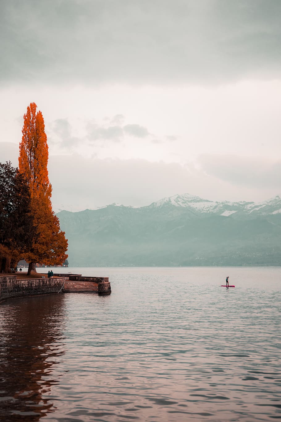 arbre de fulles vermelles, durant el dia, aigua, a l'aire lliure, naturalesa, terra, persona, oberhofen, arbre, línia de costa, oceà, mar, suïssa, llac, humà, davant del mar, paisatge, planta, Costa, muntanya, paddleboard, moll, cel, escenics - natura, bellesa a la natura, núvol - cel, escena tranquil·la, tranquil·litat, vaixell nàutic, escena no urbana, idíl·lic, dia, transport, 4K