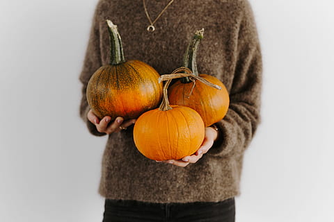 women, hands, sweater, holding, pumpkin, female, person, yellow, autumn, fall, orange, vegetable, halloween, food and drink, food, healthy eating, studio shot, orange color, wellbeing, freshness, standing, celebration, one person, indoors, fruit, agriculture, front view, 5K