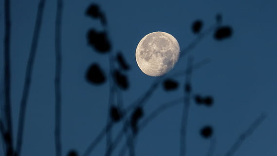 Mondblick, Astronomie, Mond, Vollmond, Universum, Platz, Weltraum, draußen, Nacht-, canmore, Kanada, Himmel, gestalten, keine Leute, Kreis, Natur, Geometrische Figur, planetarischer Mond, Nahansicht, Blau, Dämmerung, Mondoberfläche, dunkel, Fantasie, Astrologie, Mondlicht, 4K, CC0, gemeinfrei, lizenzfrei