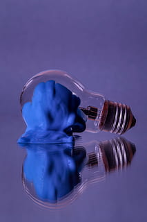 lumière, ampoule, éclairage, faucon, oiseau, animal, buse, doigt, conteneur de peinture, bol, film radiographique d'imagerie médicale, ct scan, radiographie, lumière du soleil, briller, main, symbole, symbole de recyclage, LED, pollen, prise de vue en studio, à l'intérieur, bleu, personne, fond coloré, fermer, mouvement, réflexion, objet unique, lien, La technologie, eau, verre - matériel, nature morte, la nature, transparent, électricité, mise au point sélective, métal, violet, fond bleu, équipement électrique, 4K, CC0, domaine public, libre de droits