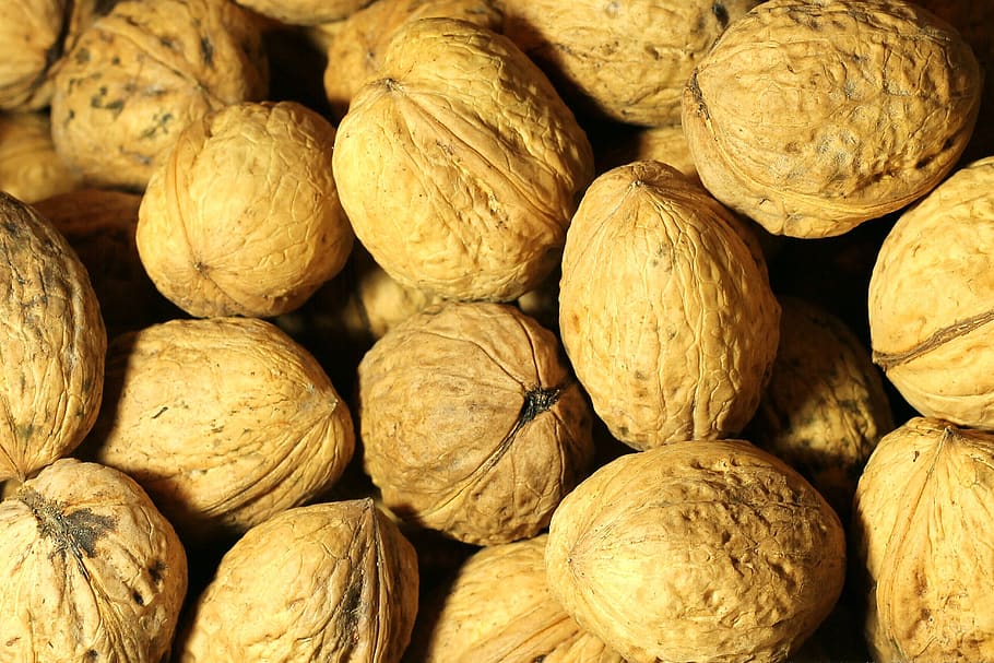 noguera, nou, shell, deliciós, saludable, saborós, marró, fons, menjar, bol de fruita, naturalesa, fruita, Nadal, menjar i beguda, alimentació saludable, marc complet, benestar, frescor, gran grup d'objectes, natura morta, abundància, nou - aliments, cap gent, primer pla, textura, closca de nou, a l'interior, 5K