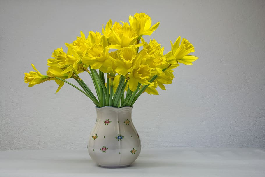 osterglocken, narcisos, flor, Pasqua, naturalesa, gerro, bouquet, natura morta, groc, planta amb flors, planta, a l'interior, frescor, vulnerabilitat, taula, tir de l'estudi, cap de flor, fragilitat, primer pla, bellesa a la natura, arranjament floral, cap gent, inflorescència, pètal, càntir, Ram de flors, 5K